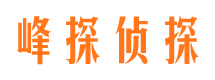 通化市场调查